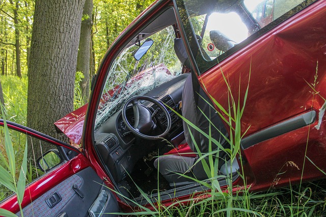 autonehoda v lese
